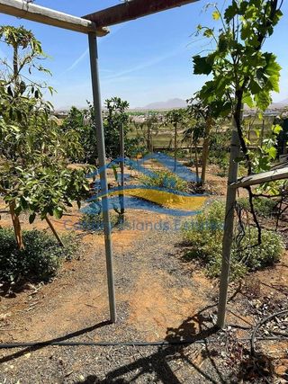 Casa rural en venta en Tuineje