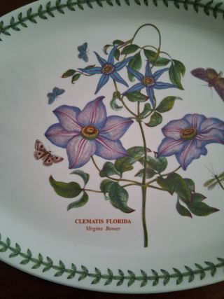 Piatto da cottura  Portmeirion 33x24 cm