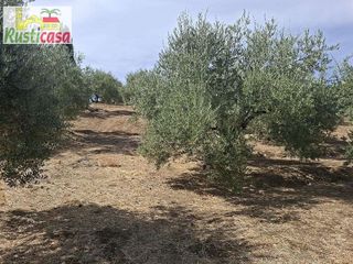 Casa en venta en Bailén