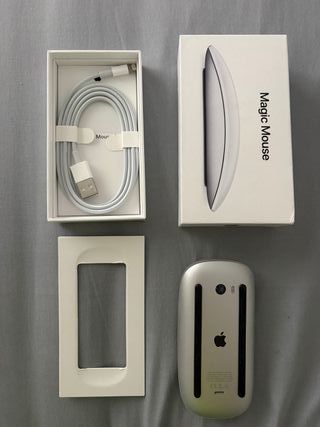 Magic Mouse 2
