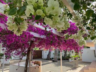 Chalet en venta en Pueblo Levante en Benidorm