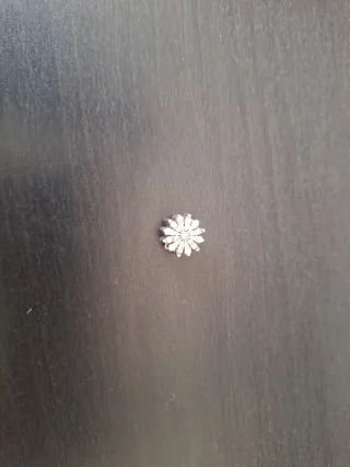 Charm Pandora Flor Plata