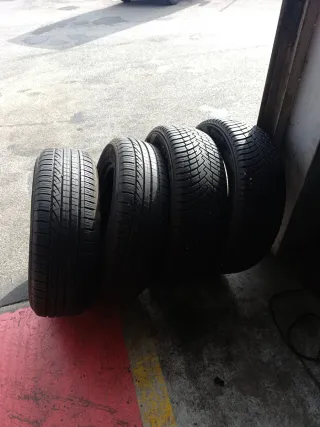 Neumáticos 
225 65 17 106v