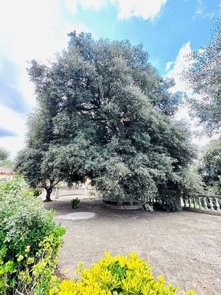 Chalet en venta en Bigues en Bigues i Riells