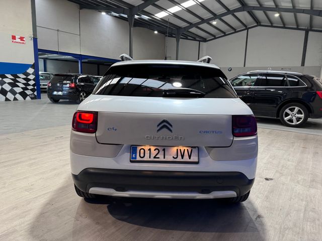 Citroen C4 Cactus 1.2 i RIP CURL