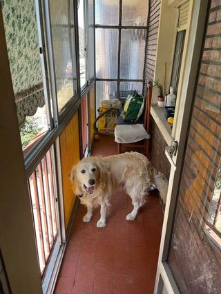 Piso en venta en Ave en Zaragoza