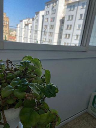 Piso en venta en Tudela