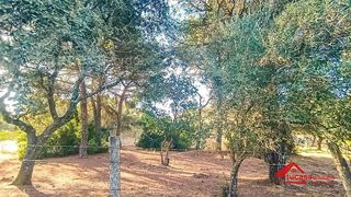 Casa rural en venta en El Higuerón en Córdoba