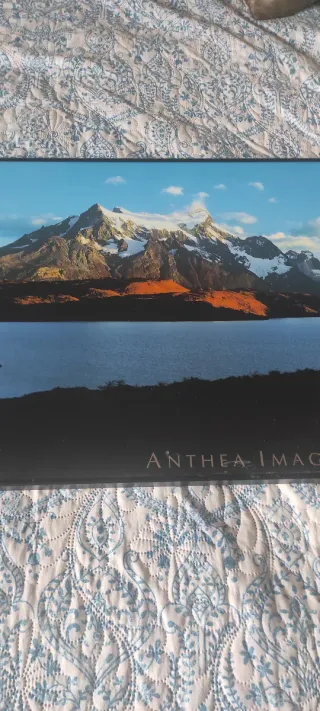Cuadro Patagonia Torres del Paine