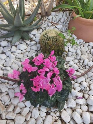 Chalet en venta en Camino de Onda - Salesianos - Centro en Burriana