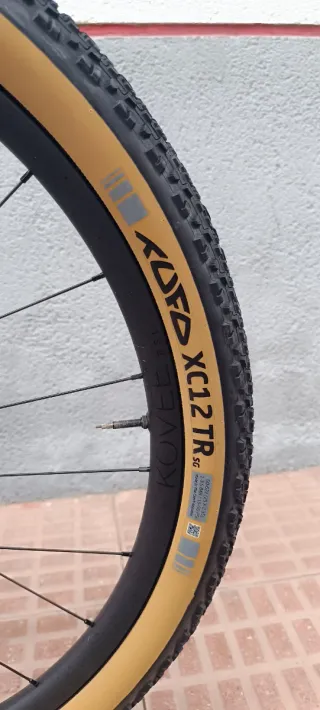 Orbea Oiz M-LTD XX talla L