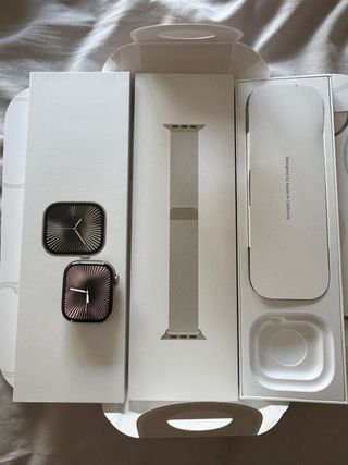 Apple Watch 10 42mm Stainless Steel 100%