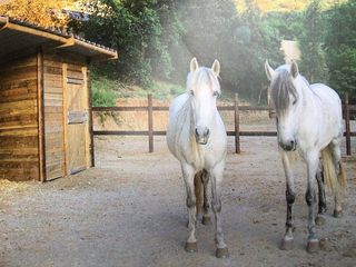 Chalet en venta en Llinars del Valles