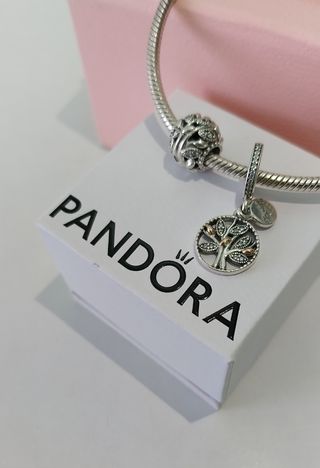 Lote 2 charms Pandora.