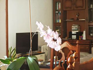 Piso en venta en Tarifa