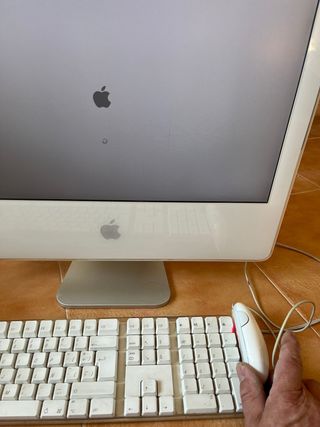 iMac A1207 Apple Plata/Blanco
