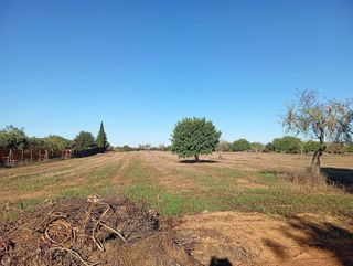 Casa rural en venta en Algaida