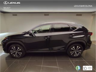 Lexus NX300h PREMIUM 2021 REF 9744
