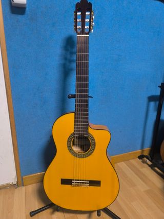 Guitarra Flamenca Electrific. Raimundo