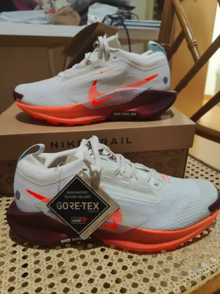 Nike Pegasus Trail 5 GORE-TEX (talla 40.5)