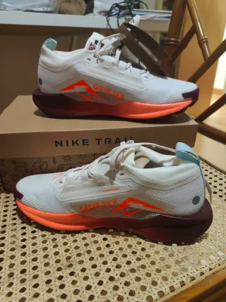 Nike Pegasus Trail 5 GORE-TEX (talla 40.5)