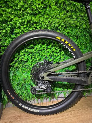Santa Cruz Bronson C CUSTOM