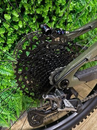 Santa Cruz Bronson C CUSTOM