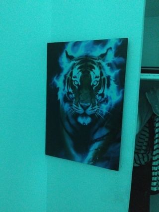 Cuadro Tigre Azul Efecto Cristal