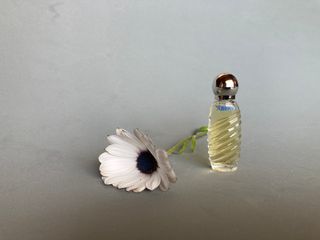 Miniatura ABRIL, de Victorio & Lucchino