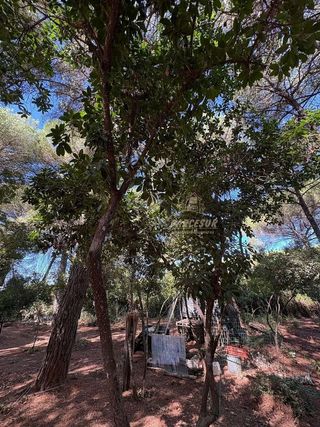 Casa rural en venta en Santa Maria de Trassierra en Córdoba