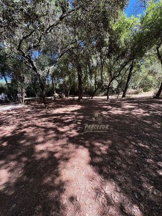 Casa rural en venta en Santa Maria de Trassierra en Córdoba