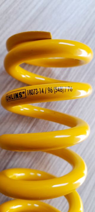 Muelles Ohlins TTX DH