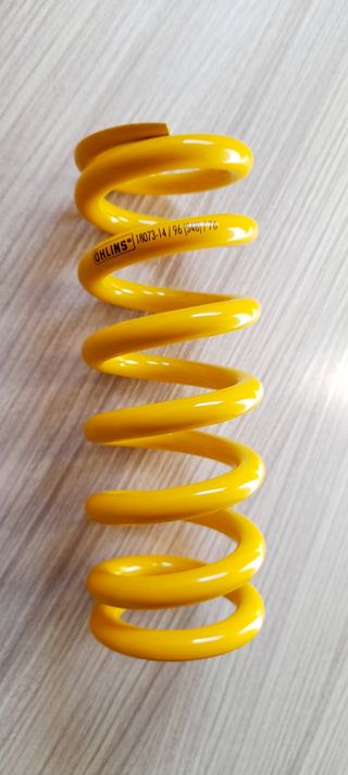 Muelles Ohlins TTX DH