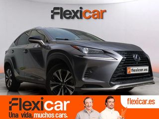 Lexus NX 2.5 300h Executive 4WD