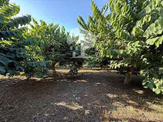 Terreno en venta en Motril pueblo en Motril