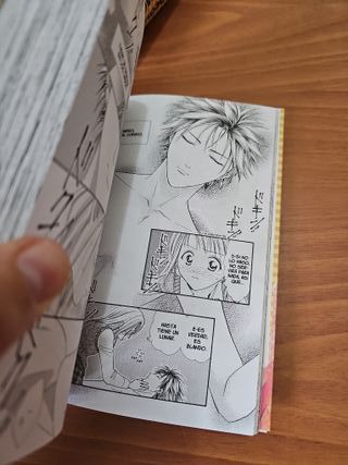 Novio absoluto colección completa