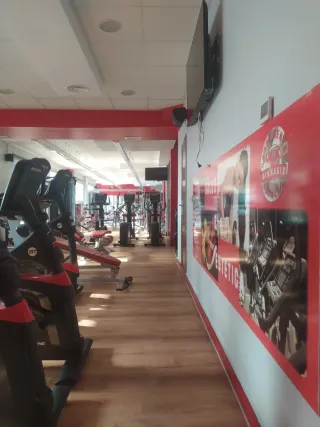 Servicio de instalación de tarima