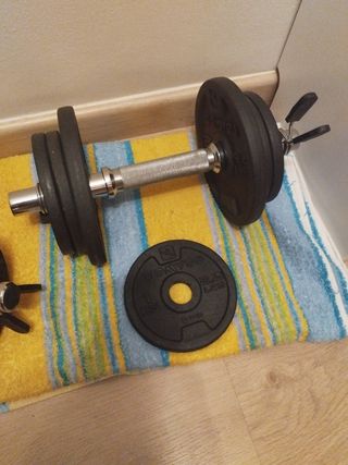 Discos, pinzas y barras de pesas