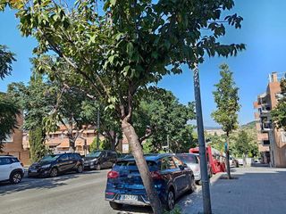 Piso en venta en Bufalà en Badalona