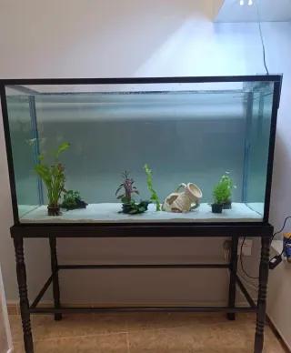 Acuario 200L con soporte y depuradora