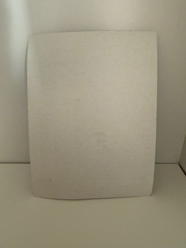 Playmobil Guerrero Africano