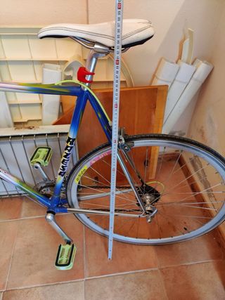 Bicicleta Razesa Fixie Vintage
