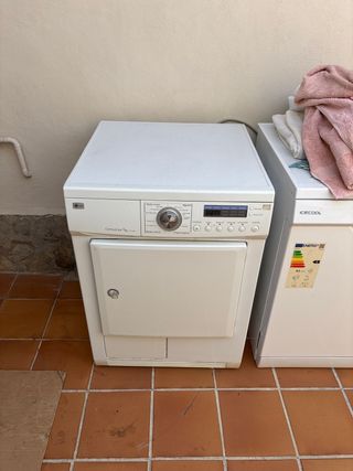 Secadora LG ClothesCare 7kg