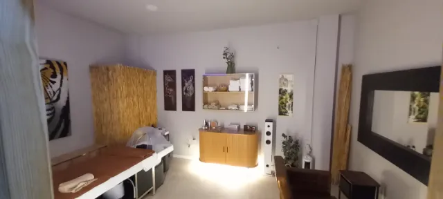 Albañil profesional en decoración y en reformas