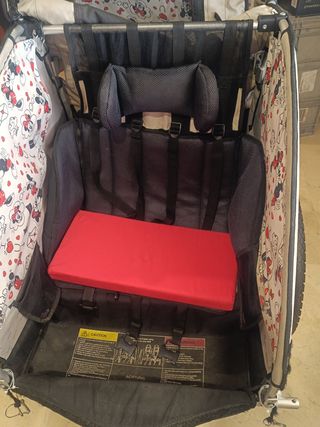 Rimorchio per bici elettriche per bambini.
