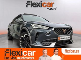 Cupra Formentor 2.0 TDI 110kW (150 CV)