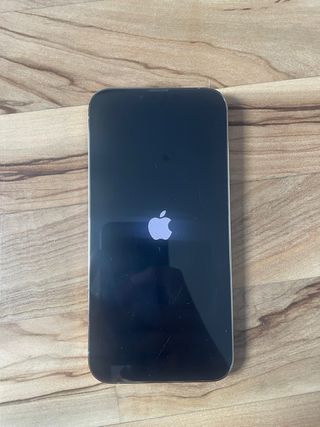 iPhone 13 Pro Max 256 GB Oro