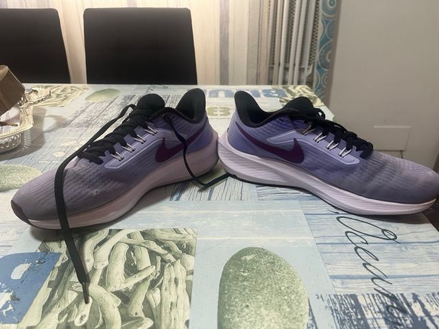 Zapatillas Nike Pegasus 39 Talla 39