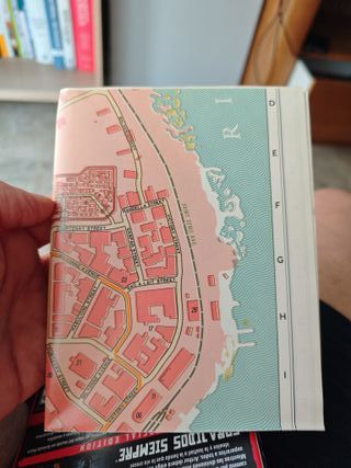 Red Dead Redemption II Special Edition PS4 + mapa