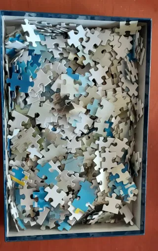 Puzzle 3D National Geographic Harp Seal